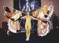 A lovely butterfly with droopy wings